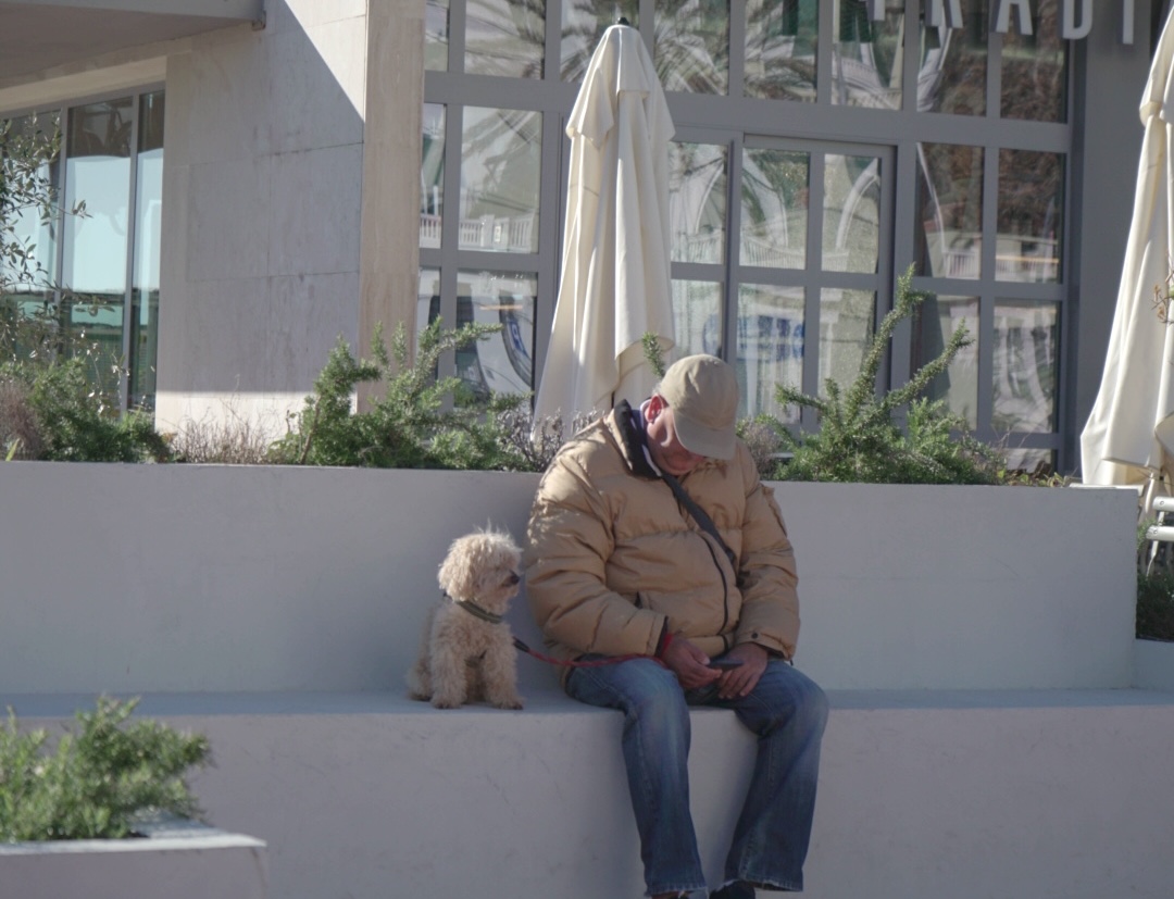 Man sitting with dog looking at phone