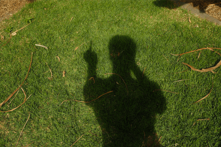 Shadow posing in grass